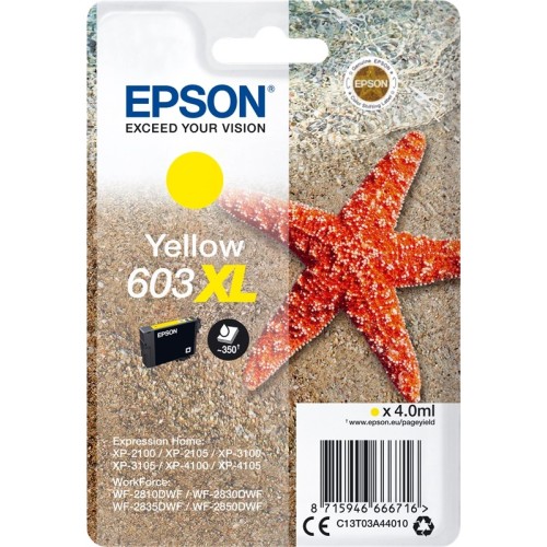 CARTUCCE INKJET EPSON - 24 EPSON